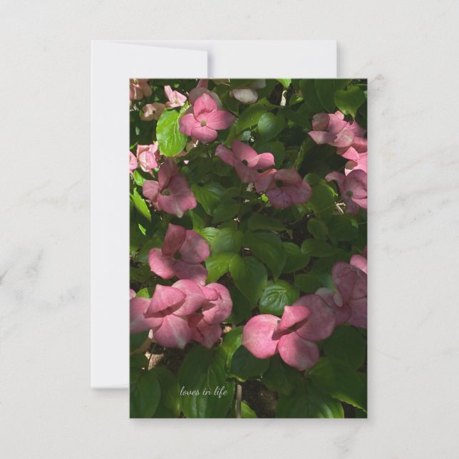 Dogwood Pink Card (Front)