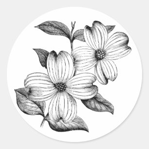 Dogwood Sticker
