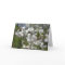 Dogwood Thank You Card
