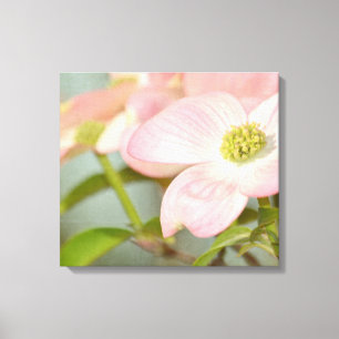 Dogwood Tree Canvas Print