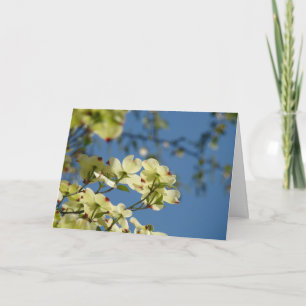 Dogwood Tree Flowers Greeting Cards Blue Sky