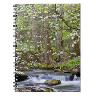 Dogwood Trees Great Smoky Mountain, Tennessee Notebook