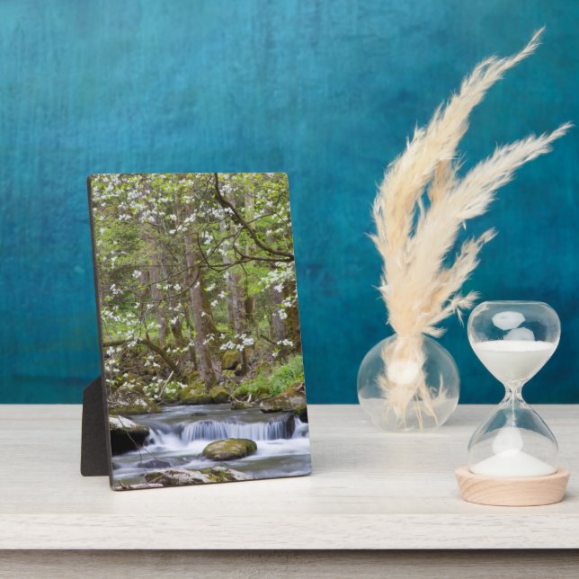 Dogwood Trees | Great Smoky Mountain, Tennessee Plaque (Side)