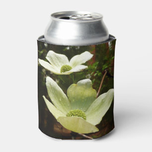 Dogwoods and Redwoods in Yosemite National Park Can Cooler