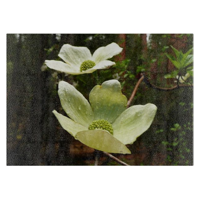 Dogwoods and Redwoods in Yosemite National Park Cutting Board (Front)