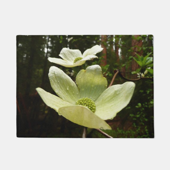 Dogwoods and Redwoods in Yosemite National Park Doormat (Front)