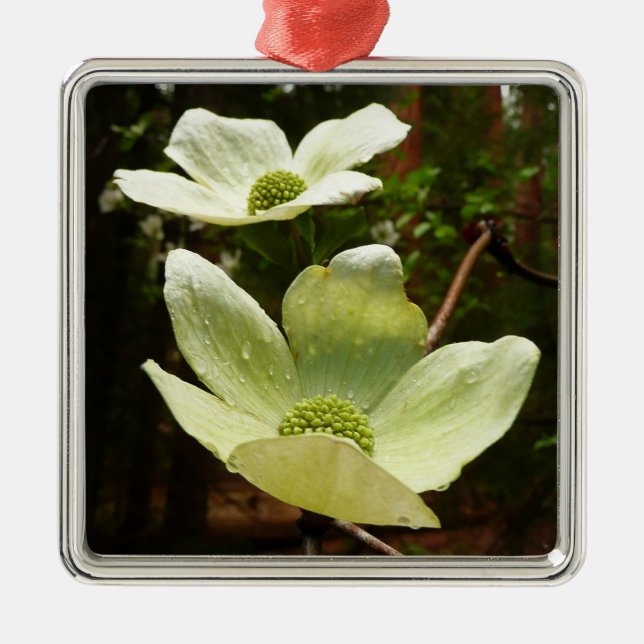 Dogwoods and Redwoods in Yosemite National Park Metal Tree Decoration (Front)