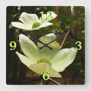 Dogwoods and Redwoods in Yosemite National Park Square Wall Clock