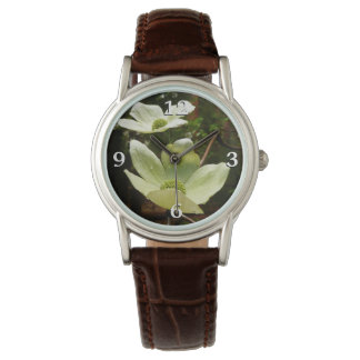 Dogwoods and Redwoods in Yosemite National Park Watch