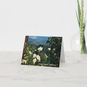 Dogwood's Blooming...... Card