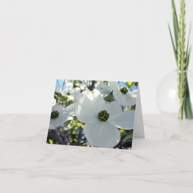 Dogwoods Card (Front)