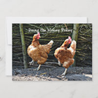 Doing the Hokey Pokey, The Hokey Pokey Chickens,