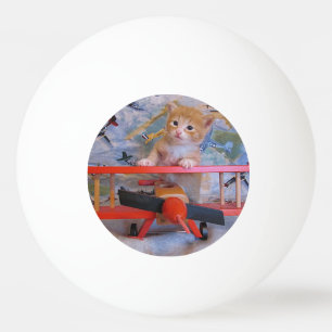 Dolce Aeroplane Pilot - Kitten / Cat Ping Pong Bal Ball