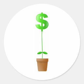Dollar Plant Classic Round Sticker