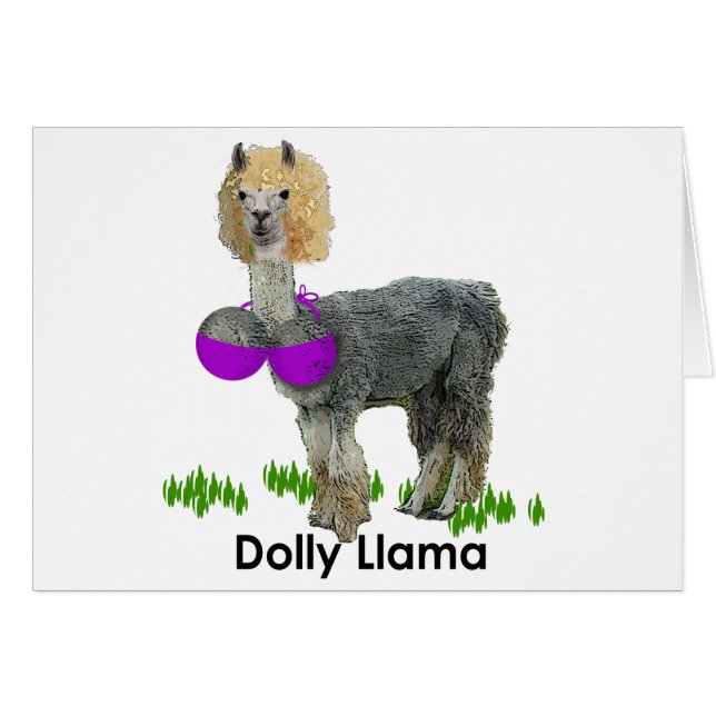 Dolly Llama (Front Horizontal)