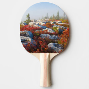 Dolly Sods Wilderness Fall Scenic With Fog Ping Pong Paddle