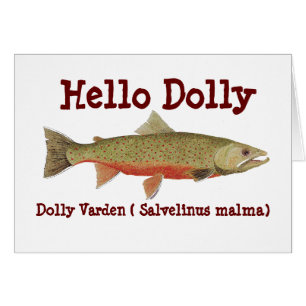 Dolly Varden Card