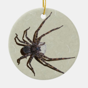 Dolomedes Mummy Spider Christmas Ornament