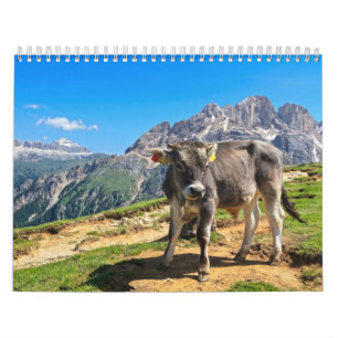 Dolomiti - alpine pasture calendar