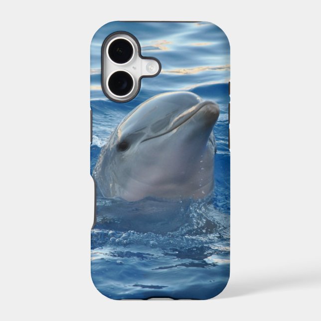 Dolphin (Back)
