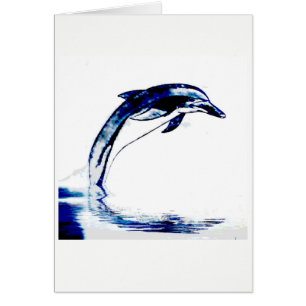 Dolphin