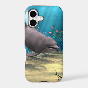 Dolphin