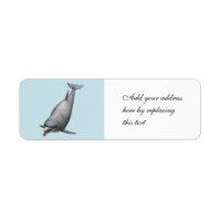 Dolphin