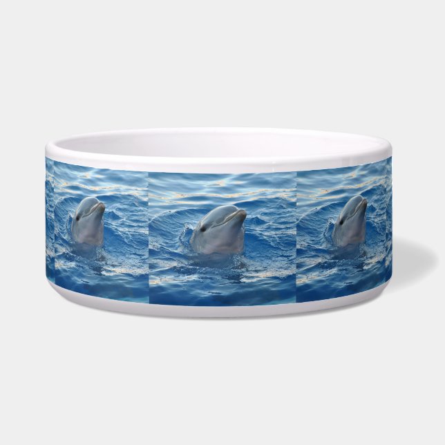 Dolphin20151021 (Front)