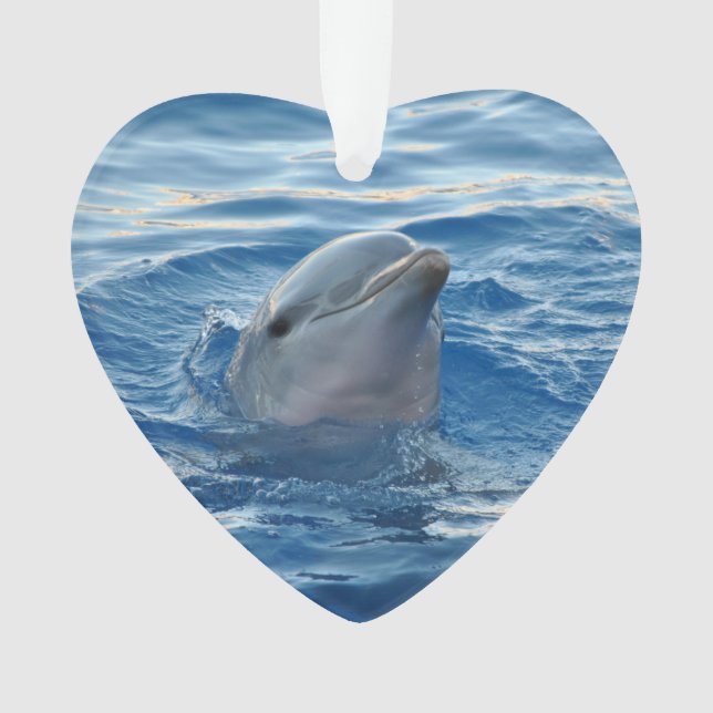 Dolphin20151021 Ornament (Front)