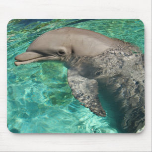 Dolphin 2 mouse pad