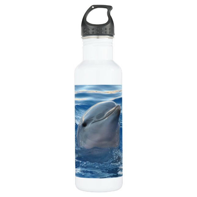 Dolphin 710 Ml Water Bottle (Front)