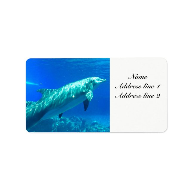 Dolphin address labels (Front)