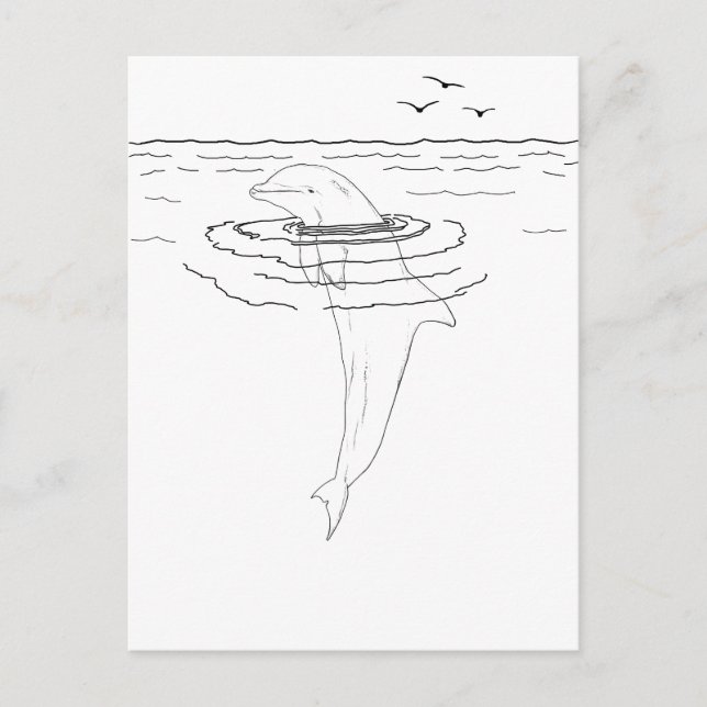 Dolphin Adult Colouring Postcard (Front)