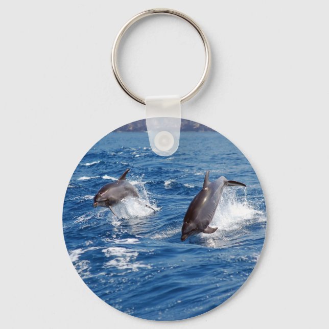 Dolphin Adventure Key Ring (Front)