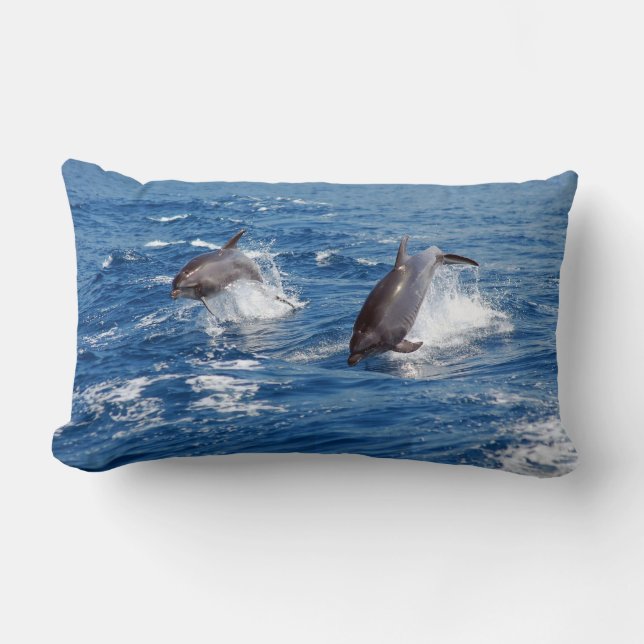 Dolphin Adventure Lumbar Cushion (Front)