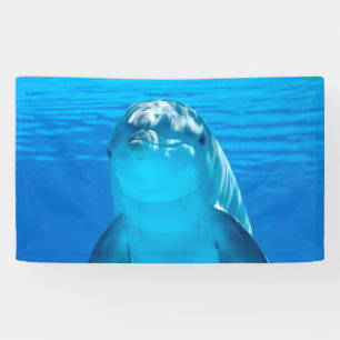 Dolphin Banner
