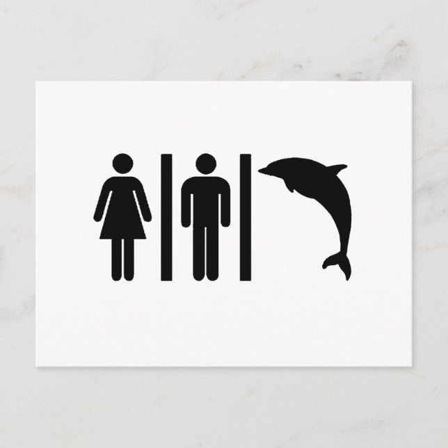 Dolphin Bathroom Postcard (Front)