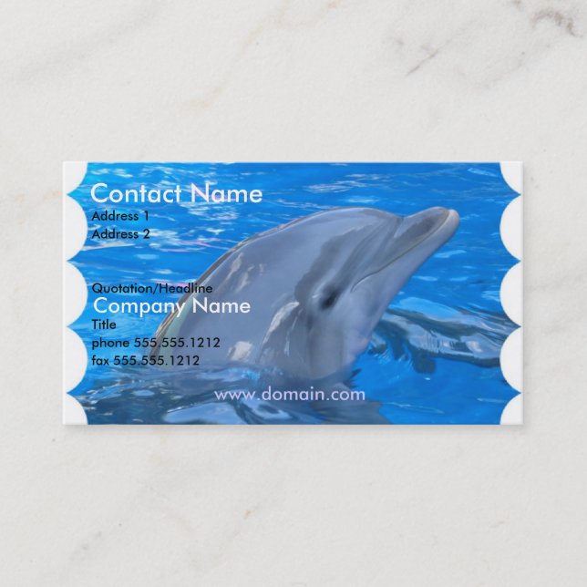 Dolphin Business Card (Front)