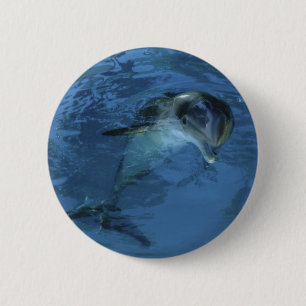 Dolphin Button