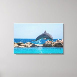 Dolphin Canvas Print