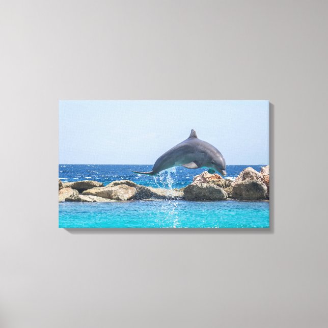 Dolphin Canvas Print (Front)