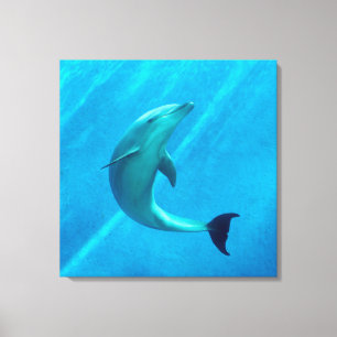 Dolphin Canvas Print