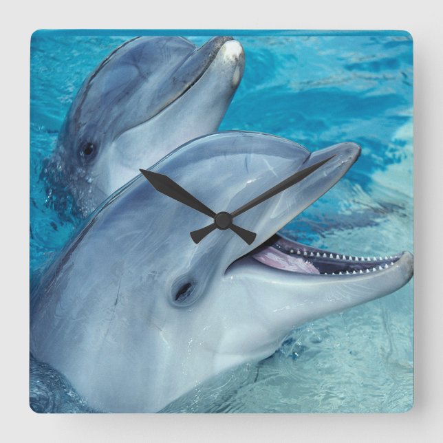 Dolphin clock (Front)