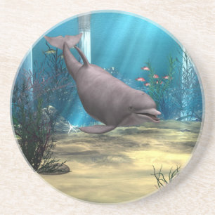 Dolphin Coaster