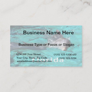 dolphin coming out of teal clear water florida.jpg business card
