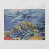 Dolphin Dance with Tropical Fish