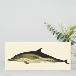 Dolphin Delphinus Delphis, Vintage Marine Animals