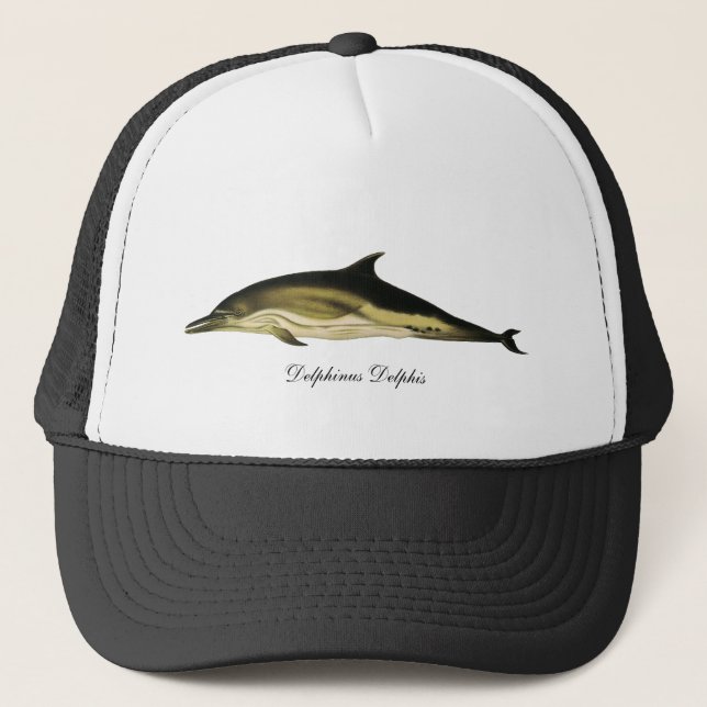 Dolphin Delphinus Delphis, Vintage Marine Animals Trucker Hat (Front)