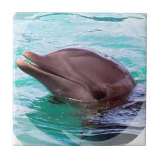Dolphin Design Tile