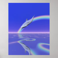 Dolphin Diving with Rainbow